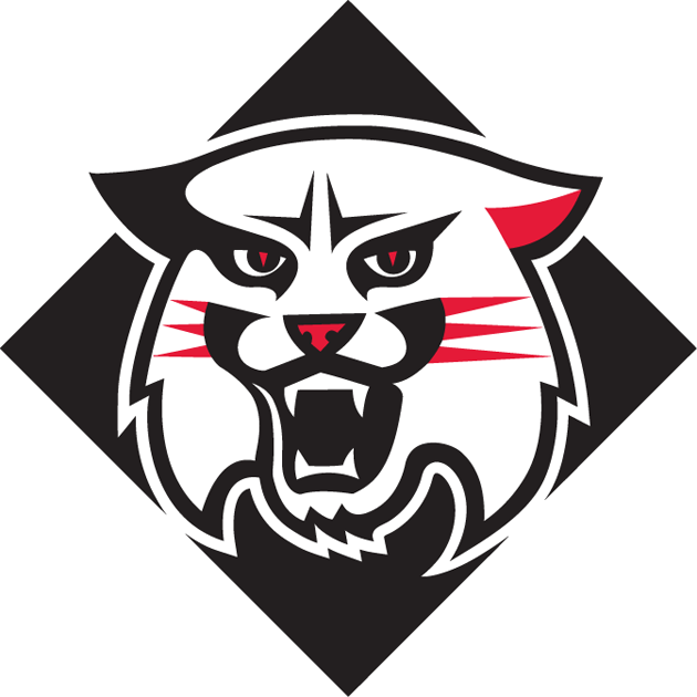 Davidson Wildcats 2010-Pres Alternate Logo t shirts DIY iron ons